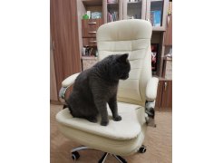 Компьютерное кресло Tomar коричневое фото покупателя 60