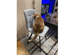 Стул на металлокаркасе Чилли розовый / черный каркас фото покупателя 68