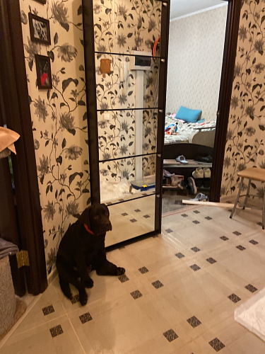 Обувница К-5 (зеркальная) венге / беленый дуб фото покупателя 14