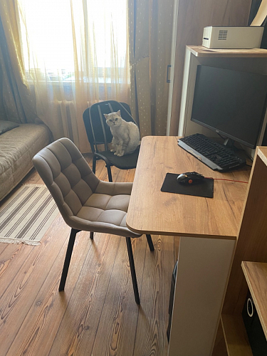 Стул на металлокаркасе Челси велюр коричневый / черный каркас фото покупателя 173