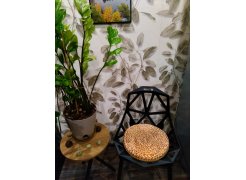 Стул One PC-015 черный фото покупателя 85