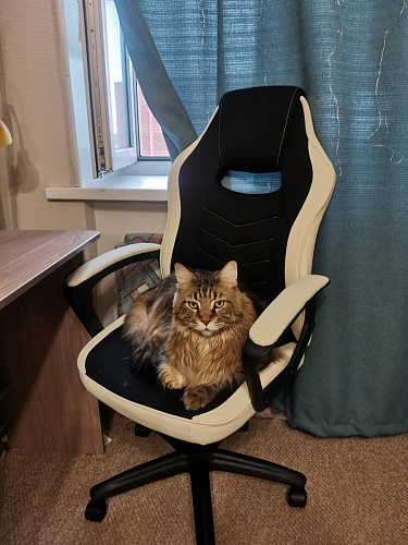 Компьютерное кресло Gamer черное / бежевое фото покупателя 41