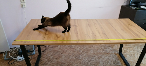 Деревянный стол Лота Лофт 120х75 белый матовый / дуб крафт золотой фото покупателя 324