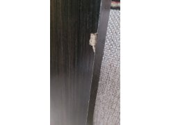 Стол письменный Kiwi венге фото покупателя 105