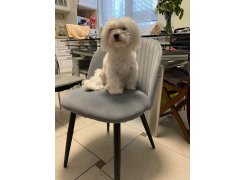 Стул на металлокаркасе Gabi 1 light purple / black фото покупателя 915