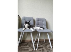 Стул на металлокаркасе Чилли черный фото покупателя 447