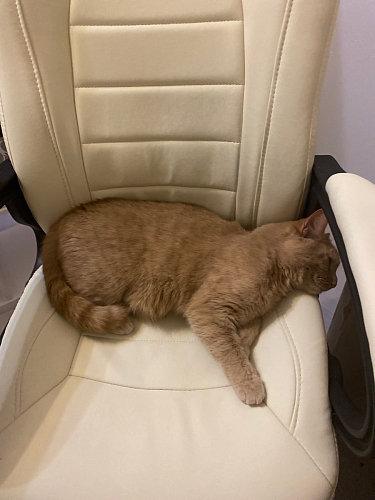 Компьютерное кресло Kadis коричневое / бежевое фото покупателя 2