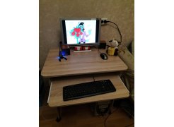 Компьютерный стол КСТ-10.1 Венге  - Уцененный экземпляр фото покупателя 3