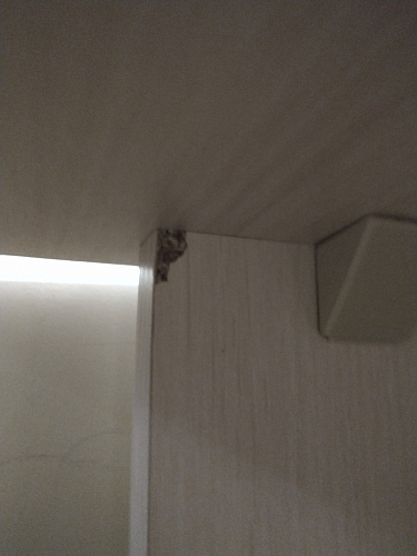 Стол письменный Kiwi белый - Уцененный экземпляр фото покупателя 86