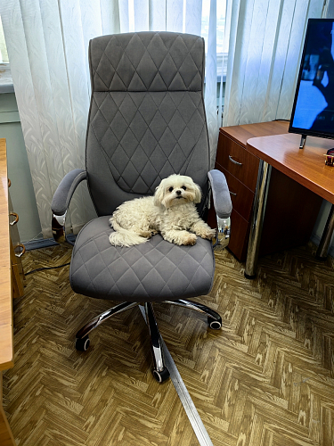 Компьютерное кресло Monte белое фото покупателя 1