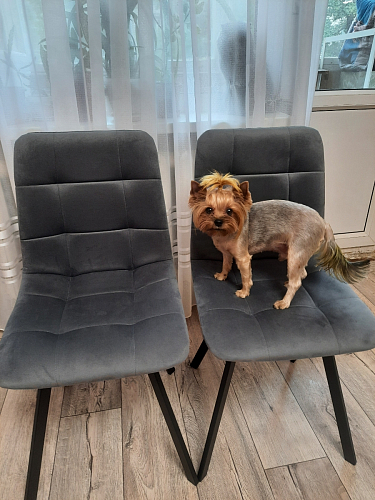 Комплект стульев Чилли 4 шт бежевый / черный фото покупателя 65