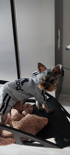 Стул One PC-015 белый фото покупателя 54