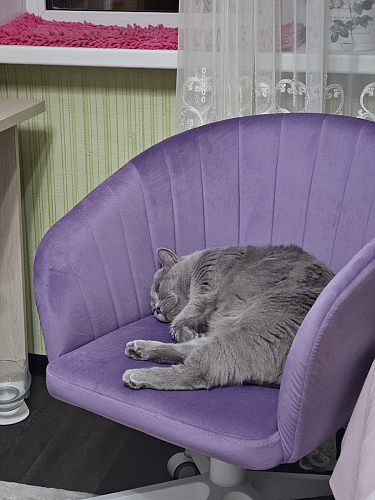 Компьютерное кресло Тибо светло-коричневый / белый фото покупателя 155