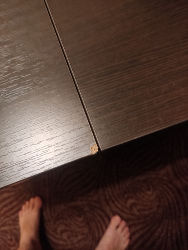 Стол-книжка Мечта дуб сонома фото покупателя 160