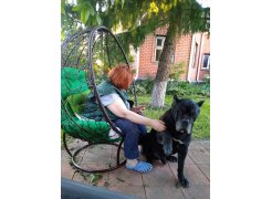 Кресло из ротанга Круг чёрное / синяя подушка фото покупателя 1