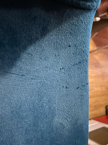 Стул на металлокаркасе Dabl 01 champagne / gold фото покупателя 183