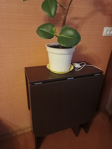 Стол-книжка Мечта дуб сонома  - Уцененный экземпляр фото покупателя 236