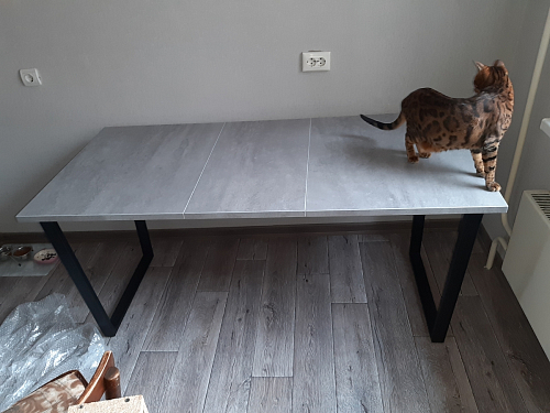 Стол Лота Лофт 140 25 мм черный матовый / бетон фото покупателя 165