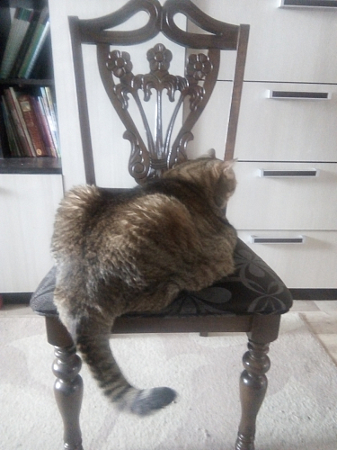 Кресло Mengen cappuccino фото покупателя 4