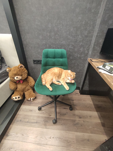 Компьютерное кресло Честер экокожа бежевая / белый фото покупателя 11