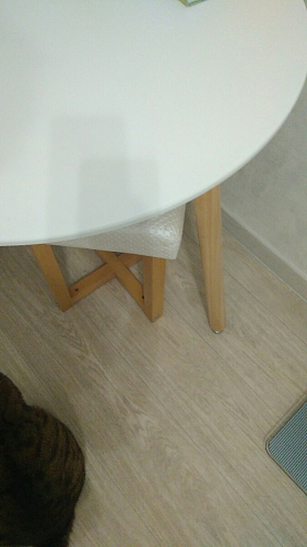 Стол Lorini 80 фото покупателя 2