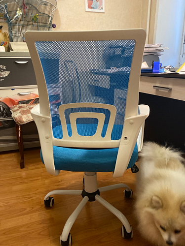 Компьютерное кресло Ergoplus розовое фото покупателя 1