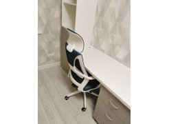 Компьютерное кресло Golem pink / white фото покупателя 41