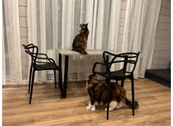 Стол Лота Лофт 140 25 мм черный матовый / бетон фото покупателя 588