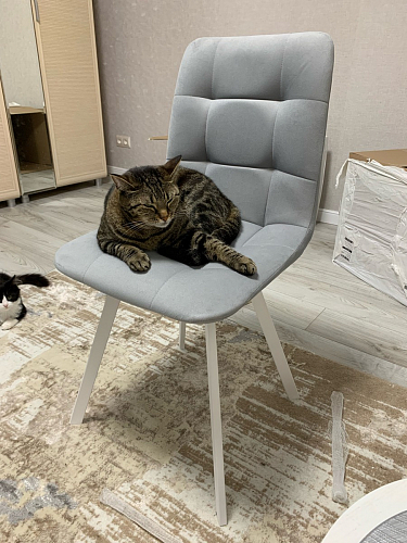 Стул на металлокаркасе Чилли бежевый / белый каркас фото покупателя 928