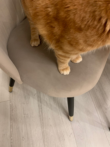 Стул на металлокаркасе Gabi-1 wine red / black фото покупателя 671