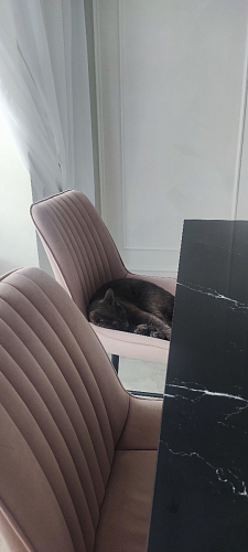 Стул на металлокаркасе Седа К крутящийся светло-серый / белый фото покупателя 294