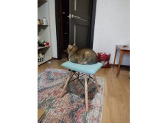 Табурет Ben Multicolor фото покупателя 40