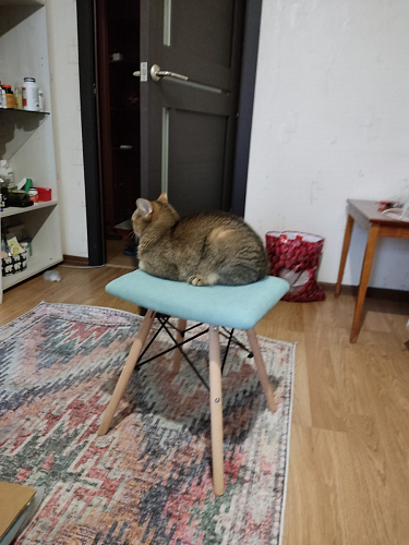 Табурет Ben pink фото покупателя 42