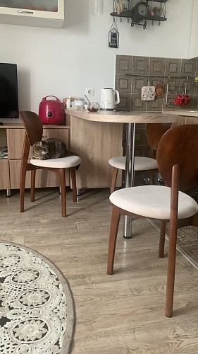 Деревянный стул Diamante ivory white фото покупателя 4