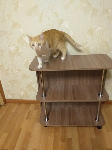 Стол-книжка с полками венге фото покупателя 2