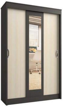 Шкаф-купе Бася венге